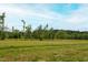 Open field with a beautiful tree line at 474 Pine Ridge Rd, Zebulon, NC 27597