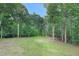 Secluded backyard with lush lawn and mature trees offering serene privacy at 7000 Millstone Ridge Ct, Raleigh, NC 27614