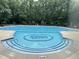 Ethan's Glen swimming pool with lap lanes, shallow end and forest surround at 7000 Millstone Ridge Ct, Raleigh, NC 27614
