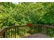 Wooden deck with a flower box and view of the wooded backyard at 7761 Winners Edge St, Raleigh, NC 27617