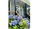 Charming front porch with blue hydrangea bushes and stylish architectural design at 8517 Falkirk Ridge Ct, Wake Forest, NC 27587