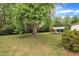 Picturesque backyard with lush lawn, mature trees, and black fence at 1003 W Divine St, Dunn, NC 28334