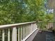 Balcony view overlooking mature trees and a peaceful setting at 105 Highlands Lake Dr, Cary, NC 27518
