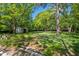 Large backyard with mature trees, a shed, and blooming ground cover at 1111 College St, Oxford, NC 27565