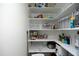 Organized pantry with shelving, providing ample storage space for food and kitchen essentials at 1605 Heritage Club Ave, Wake Forest, NC 27587