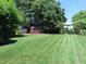 Spacious backyard with neatly striped lawn and storage shed at 2000 Howson Rd, Raleigh, NC 27603