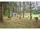 Spacious wooded backyard featuring mature trees, a shed, and swing for outdoor enjoyment at 201 E Laramie Dr, Mebane, NC 27302
