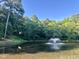 Picturesque pond with a fountain surrounded by lush greenery, enhancing the property's appeal at 206 Kettlebridge Dr, Cary, NC 27511
