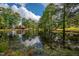 Beautiful pond view highlighting natural scenery and reflection of the sky at 207 Mcleod Dr, Sanford, NC 27330