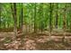 Private backyard features a shed, hammock, and wooded area offering seclusion at 6 Gasper Ct, Durham, NC 27713