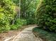 A quaint stone path winds through a beautiful garden, with lush greenery at 74002 Harvey, Chapel Hill, NC 27517