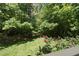 Lush backyard with mature trees, landscaping, and privacy at 106 Bluefield Rd, Chapel Hill, NC 27517