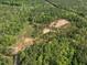 Aerial view of land in wooded area at 1656 Nc-42 Hwy, Moncure, NC 27559