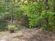 Scenic view of a small bridge near the pond, surrounded by lush greenery and trees at 1656 Nc-42 Hwy, Moncure, NC 27559