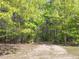 Scenic view of a peaceful property with trees and a dirt path at 1656 Nc-42 Hwy, Moncure, NC 27559