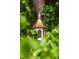Quaint birdhouse nestled among lush greenery in a serene garden setting at 1904 Victoria Rd, Raleigh, NC 27608