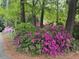 Lush garden scene with vibrant pink azaleas lining the pathway at 1904 Victoria Rd, Raleigh, NC 27608