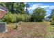 Expansive backyard with mature trees, offering privacy and a natural setting for outdoor enjoyment at 2010 Summerdale Dr, Raleigh, NC 27604