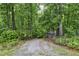View of a lush, treed front yard with a small outdoor building visible at 205 Bruton Dr, Chapel Hill, NC 27516