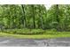 View of a lush, treed front yard with a black metal fence running along the perimeter at 205 Bruton Dr, Chapel Hill, NC 27516