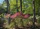 Lush yard features blooming pink flowers and a decorative welcome sign at 205 Bruton Dr, Chapel Hill, NC 27516
