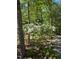 White flowers are nestled among the trees of this beautiful yard at 205 Bruton Dr, Chapel Hill, NC 27516