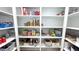 Well-organized walk-in pantry with shelves filled with food items and storage containers to make organization easy at 232 Hensley Hill Pl, Holly Springs, NC 27540