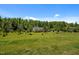 Wide shot of the house shows the front yard and mature trees at 5013 W Pool Rd, Rougemont, NC 27572