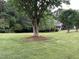 Spacious front yard with mature trees and a partial view of the home's facade at 7501 Tipsy Sq, Wake Forest, NC 27587