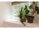 Bright window area with plants and lots of natural light at 7501 Tipsy Sq, Wake Forest, NC 27587