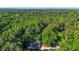 Lush treeline with a house nestled within, featuring a pool and backyard at 2511 Bexley Ave, Durham, NC 27707