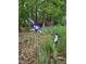 Landscaped yard with mixed flowers and greenery providing a colorful space at 2511 Bexley Ave, Durham, NC 27707