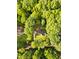 Aerial view of home surrounded by lush trees and greenery at 3204 Manor Ridge Dr, Raleigh, NC 27603