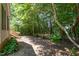 An open backyard with lush trees and landscaping at 4608 Regency Dr, Durham, NC 27713