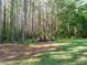 An outdoor space features a rustic fire pit area nestled among tall trees and a sprawling lawn at 49 Mount Joy Pl, Sanford, NC 27330