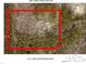Aerial view of the home and lot; approximate lot lines are shown in red at 525 Turtle Creek Farm Rd, Apex, NC 27523