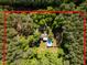 Aerial view of a private home with a pool nestled among lush trees and greenery; approximate lot lines are shown in red at 525 Turtle Creek Farm Rd, Apex, NC 27523