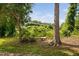 Lush backyard featuring mature trees and two benches underneath tree at 6565 New Market Way, Raleigh, NC 27615