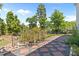 Beautifully landscaped backyard with a brick patio, lush plants, and a variety of trees, creating a tranquil outdoor oasis at 870 Kentucky Derby Ln, Lillington, NC 27546