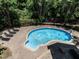 Aerial view of a pool with patio furniture surrounded by lush greenery at 91 E Walker Woods Ln, Clayton, NC 27527