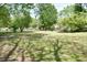 A large green, grassy backyard featuring mature trees in a fenced yard at 102 Allen St, Graham, NC 27253