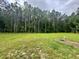 Large, grassy backyard with wooded boundary line that offers privacy and scenic views at 107 Earnest Way, Kenly, NC 27542