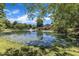 Beautiful lake view featuring a fountain and mature trees and landscaping at 1201 Red Beech Ct, Raleigh, NC 27614