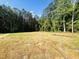 Expansive backyard surrounded by lush trees, offering privacy and a serene outdoor space at 121 Earnest Way, Kenly, NC 27542