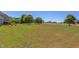 Large backyard with well maintained lawn, mature trees and distant open field at 130 Skipwith Dr, Wendell, NC 27591