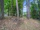 Lush wooded backyard showcasing mature trees and natural foliage at 1313 Ridge Rd, Raleigh, NC 27607