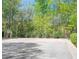 Community basketball court surrounded by mature trees with ample space for playing and recreation at 210 Shillings Chase Dr, Cary, NC 27518