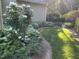The beautiful landscaping around this house includes white roses, hostas, grass, and a stone border at 210 Shillings Chase Dr, Cary, NC 27518