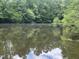 Relax by the community pond surrounded by lush trees and vegetation; a serene natural setting for residents at 2412 Chartwell Ln, Graham, NC 27253
