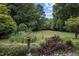 Expansive backyard featuring lush greenery, creating a private and serene outdoor space at 260 Woody Ln, Oxford, NC 27565